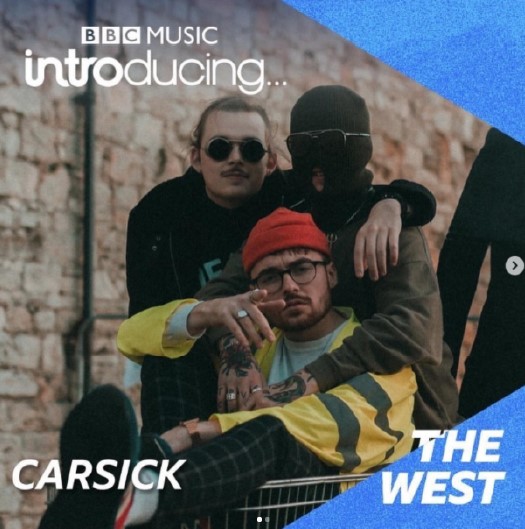 THE VINYL: CARSICK